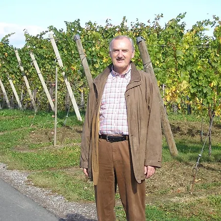 Soravia شقة غامليتز