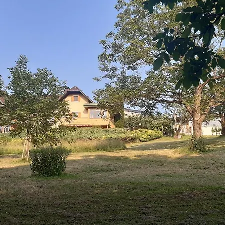 Soravia Apartment *